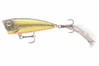 Daiwa Steez Steez Popper | 60F SG Black Gold