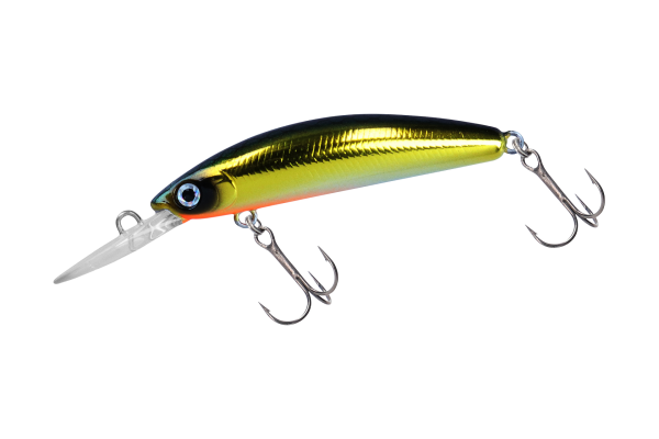 Daiwa Steez Double Clutch | 50SP Black Gold