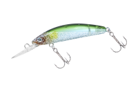 Daiwa Steez Double Clutch | 50SP IP Ayu