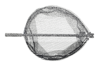 Daiwa Prorex Fast Fold Stalker Net / Kescher / Unterfangkescher M - 60x50cm