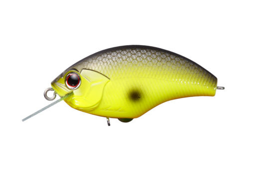 O.S.P. BLITZ / 5.3cm / 8.9cm Chart Black Back P20