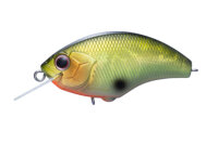 O.S.P. BLITZ / 5.3cm Mido-Rin JDM COLOR H32