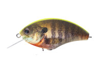 O.S.P. BLITZ MAX / 6.2cm Mat Chart Back Real Gill RP07