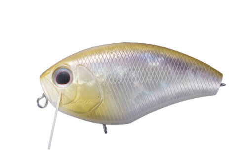 O.S.P. DAIBUZZN / 6.4cm Ginrin H23