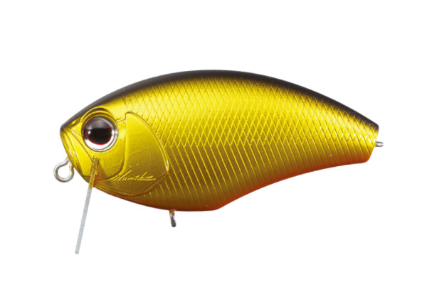 O.S.P. DAIBUZZN / 6.4cm Gold/Black Back T04