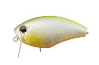 O.S.P. DAIBUZZN / 6.4cm Pearl/Chart Back P64