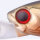 O.S.P. HIGH CUT DR Suspend / 6cm Tasty Shad P23