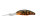 O.S.P.POWER DUNK Suspend / 5.7cm Green Craw Z37