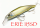 NISHINE LURE WORKS Erie 115SD Wobbler/Jerkbait