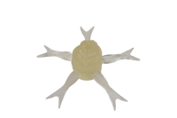 JACKALL Jinny Henge 42 / 4.2cm SUPER LEMON