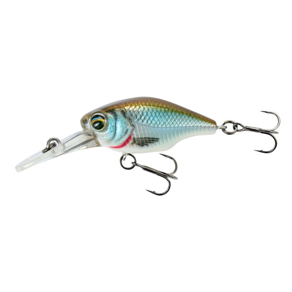 Petit Gravity Crank DR Clear Roach