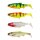 Savage Gear 3D River Roach Mix 10cm