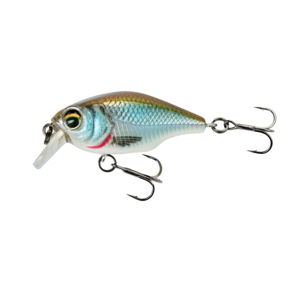 Petit Gravity Crank SR Clear Roach