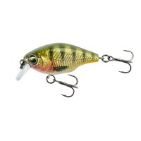 Petit Gravity Crank SR Holo Perch