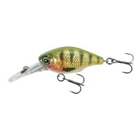 Petit Gravity Crank DR Holo Perch