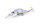 DUO Realis Rozante Shad 57MR Mat Tiger