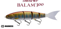 MADNESS BALAM 300