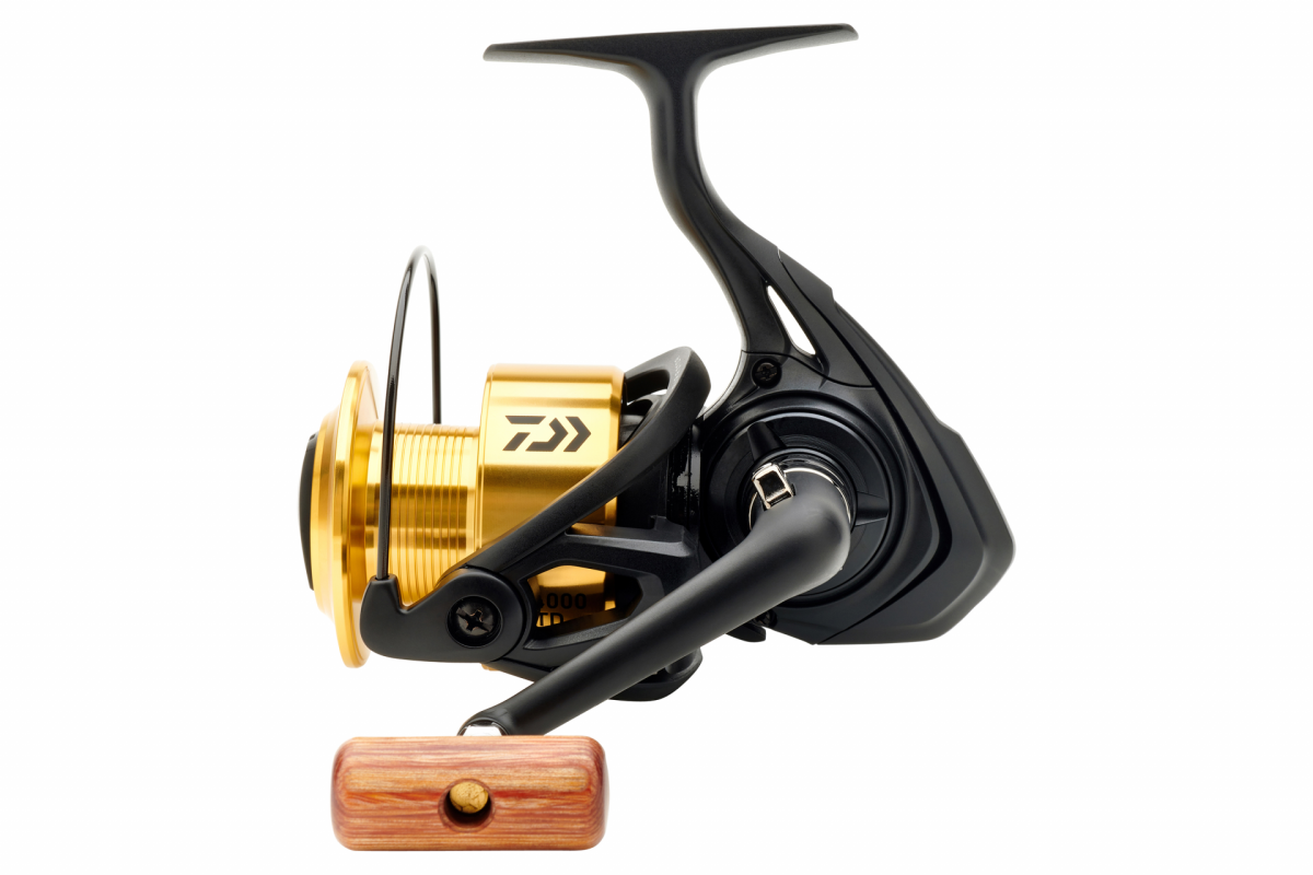 Daiwa Spinnrolle 20 GS BR LT, 79,99