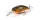DUO Realis Crank M62 5A
