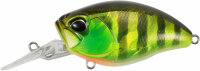 DUO Realis Crank 48MR KABUKI Chart Gill Halo