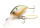 NISHINE LURE WORKS Chippawa DD Blade (Deep Dive)