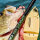 SPRO KGB SERIES CHAD SHAD 180 / 18cm