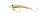 Lucky Craft Wah 38 Surf MAX SS / 3.8cm