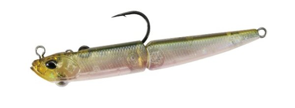 Ghost Minnow