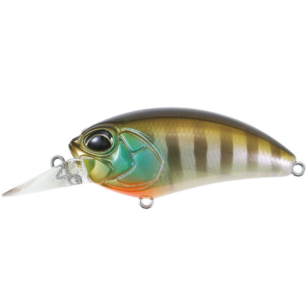 Ghost Gill