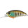 Ghost Gill