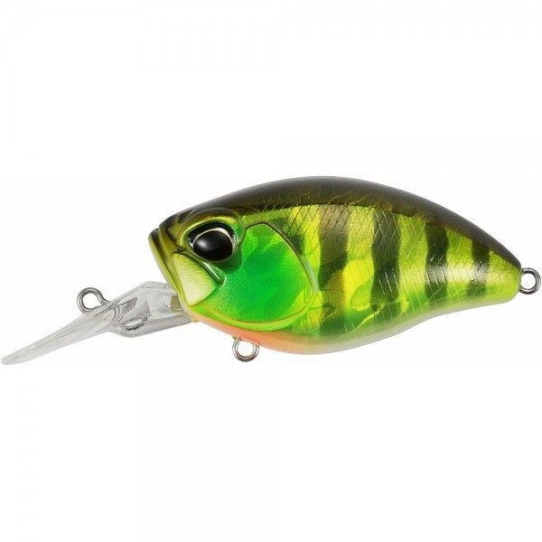Ghost Gill