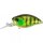 Ghost Gill