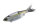 Threadfin