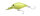 Sencha
