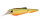 Hot Pike