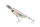 NAMA CANDY