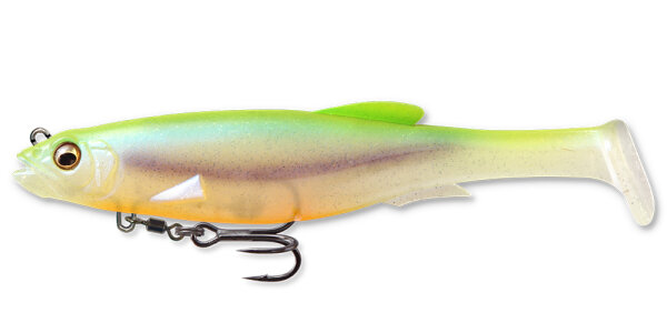 CHART BACK SHAD