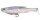 PROBLUE SHAD