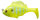 GHOST LIME CHART GILL