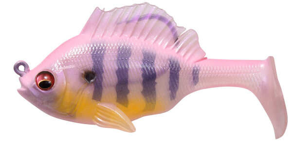 PINK BACK GILL