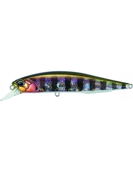 Prism Gill
