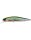 Ghost Minnow