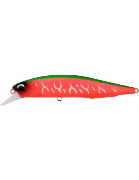 Dragon Fruit Tiger