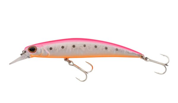 Pink Shrimp