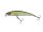 BERKLEY DEX Bullet Jerk 6.5cm / 6g