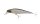 Baitfish