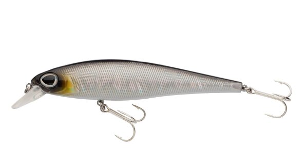Baitfish