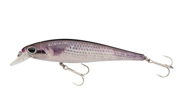 Mullet