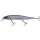 BERKLEY DEX Stunna 112 Plus 1 / 11cm-14g