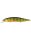 Ghost Gold Perch